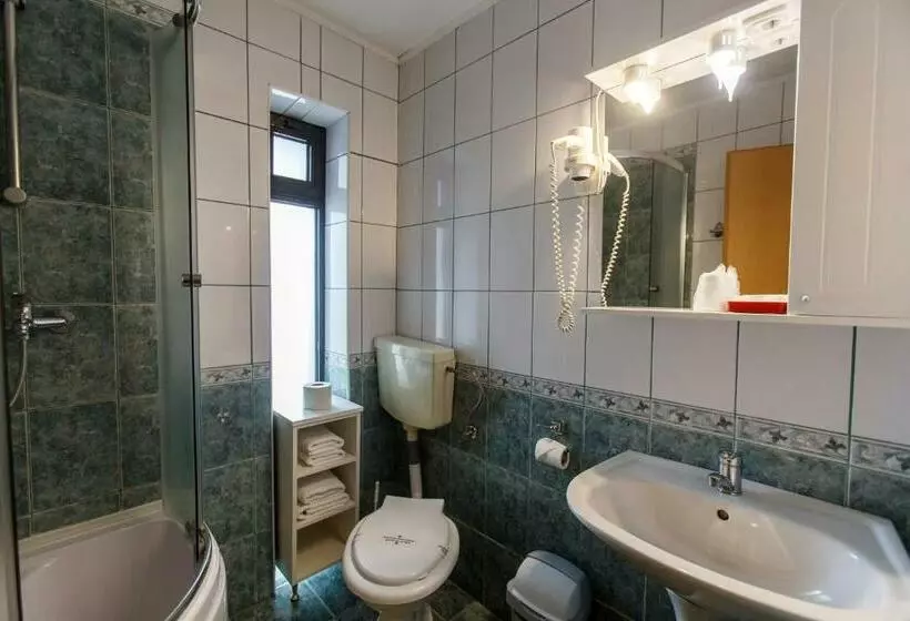 ペンション Domeniul Dracula Daneș