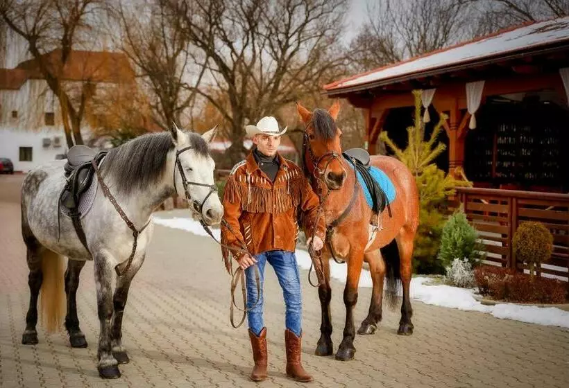 ペンション Domeniul Dracula Daneș