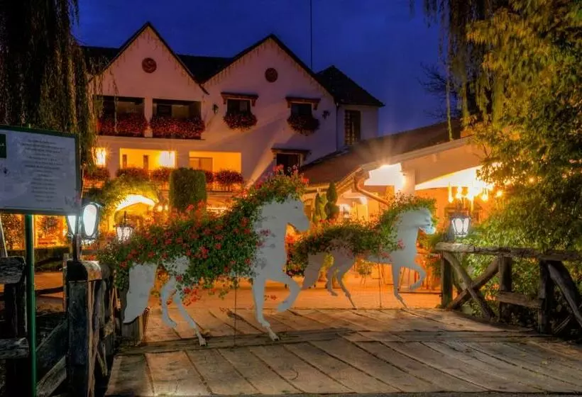 ペンション Domeniul Dracula Daneș