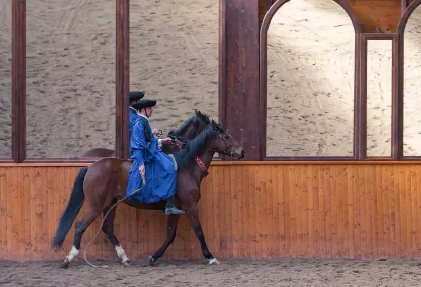 ペンション Domeniul Dracula Daneș