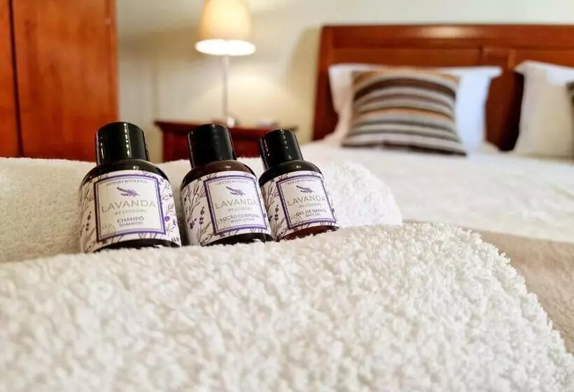 Charming Flat   Wifi Ac   Portimão