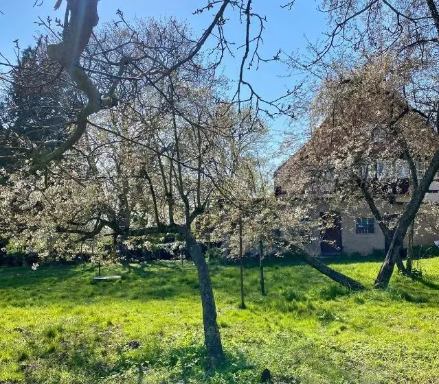 Großes Ferienhaus An Der Ostsee Oldevighus