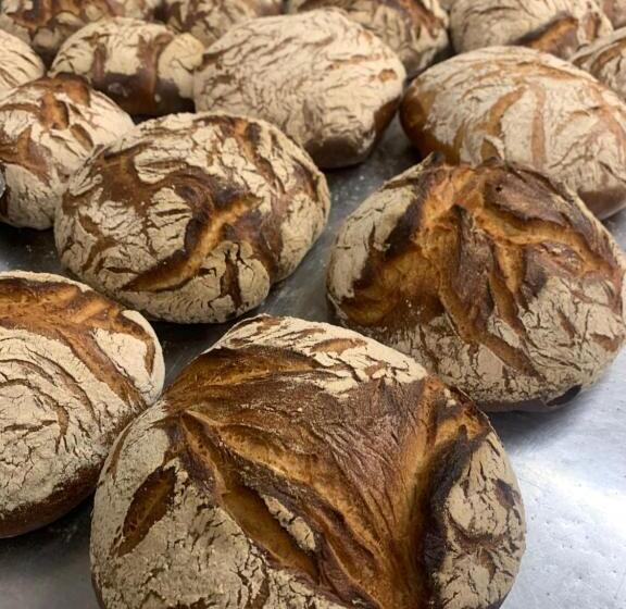 Schöne, Große Ferienwohnung Direkt Am Donauradweg & Keltenstadt Heuneburg