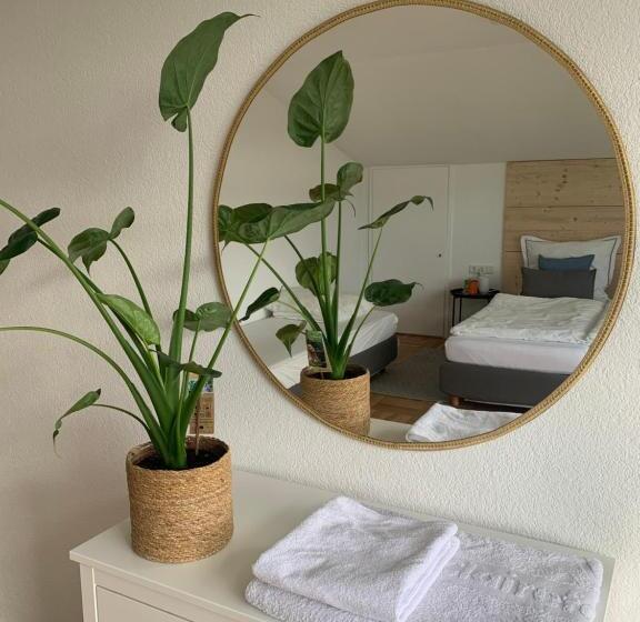 Schöne, Große Ferienwohnung Direkt Am Donauradweg & Keltenstadt Heuneburg