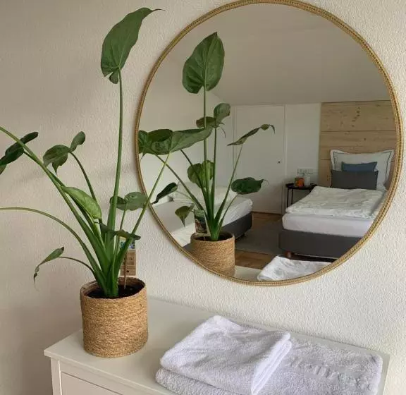 Schöne, Große Ferienwohnung Direkt Am Donauradweg & Keltenstadt Heuneburg