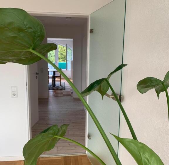 Schöne, Große Ferienwohnung Direkt Am Donauradweg & Keltenstadt Heuneburg