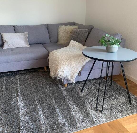 Schöne, Große Ferienwohnung Direkt Am Donauradweg & Keltenstadt Heuneburg