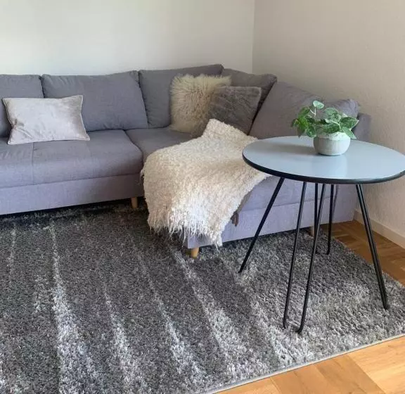 Schöne, Große Ferienwohnung Direkt Am Donauradweg & Keltenstadt Heuneburg