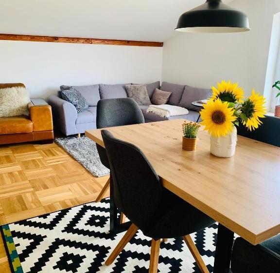 Schöne, Große Ferienwohnung Direkt Am Donauradweg & Keltenstadt Heuneburg