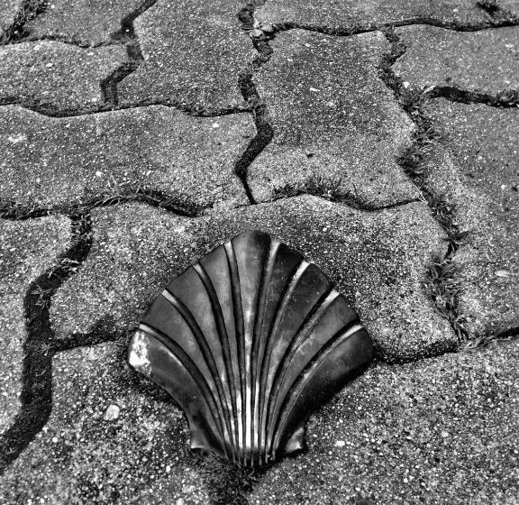 Jasmin 1 Jeanne D Albret