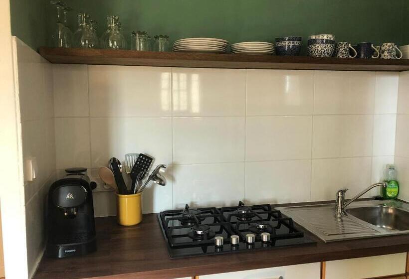 Jasmin 1 Jeanne D Albret