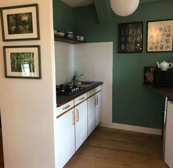 Jasmin 1 Jeanne D Albret