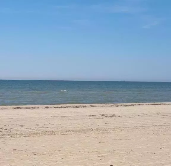Liedaga Apartamenti
