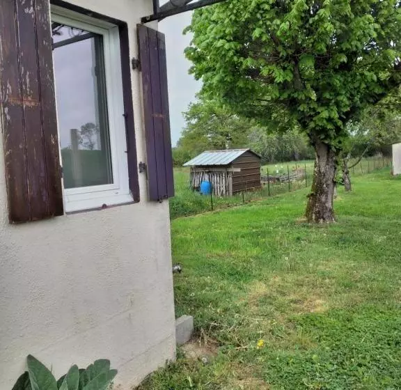 Maison Studio Individuelle Fraichement Rénovée