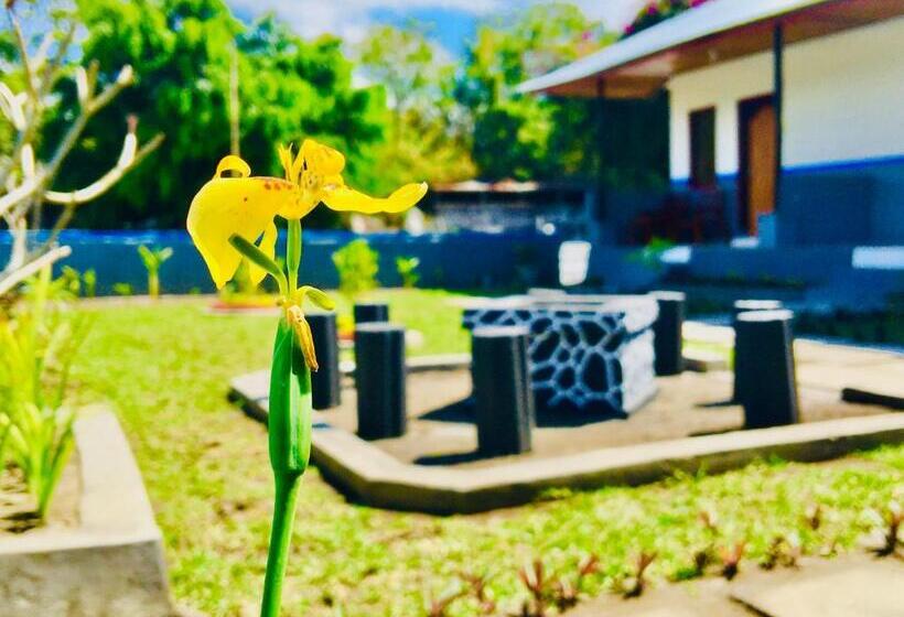 膳宿费 Ampik Batur