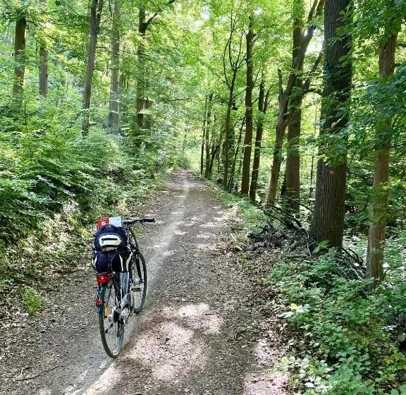 Alraftsblick