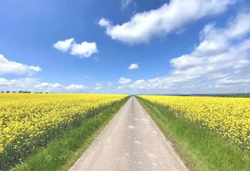 Alraftsblick