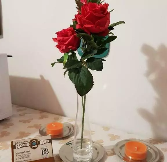 Boviobed B&b