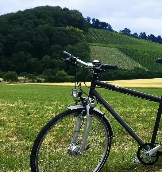 Hotelli Sonnenhof Aspach