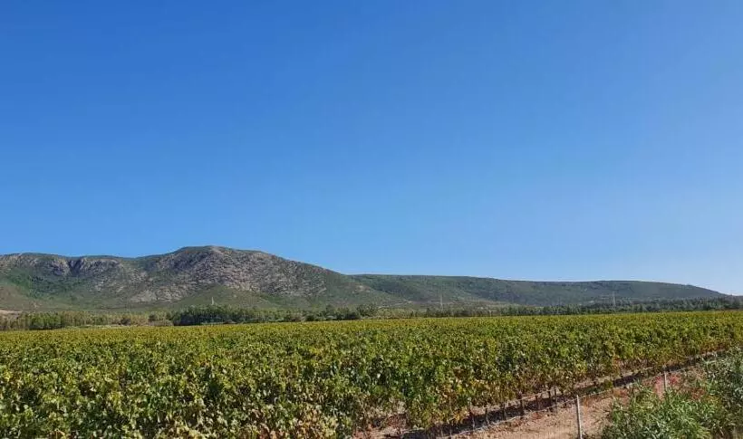 ペンション B&b Sa Spiga