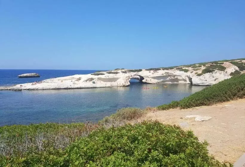 ペンション B&b Sa Spiga