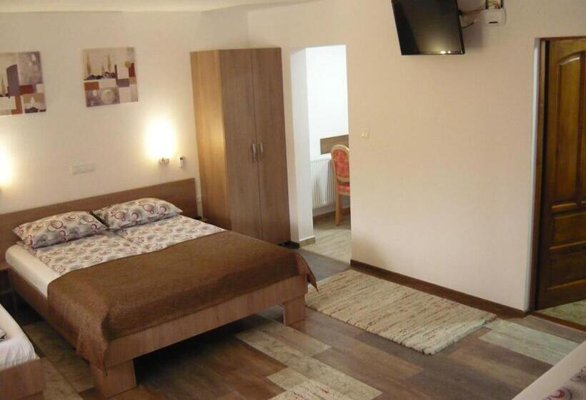 پانسیون Casa De Oaspeti Liviu