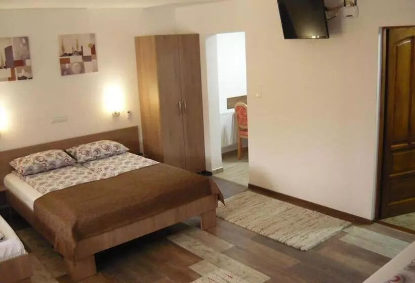 ペンション Casa De Oaspeti Liviu