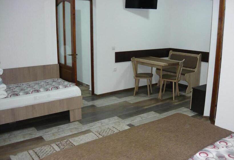 پانسیون Casa De Oaspeti Liviu