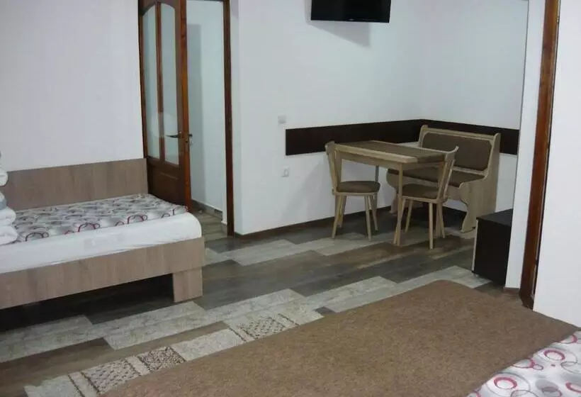 ペンション Casa De Oaspeti Liviu