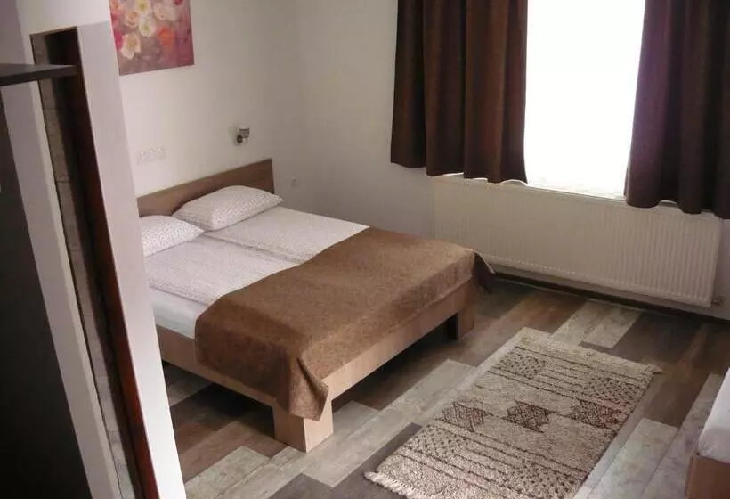 ペンション Casa De Oaspeti Liviu