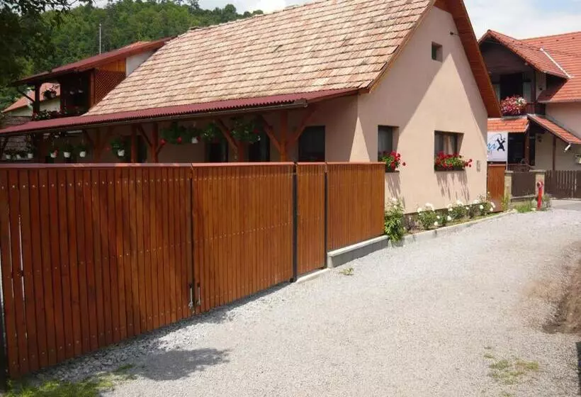ペンション Casa De Oaspeti Liviu