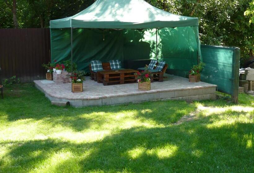 پانسیون Casa De Oaspeti Liviu