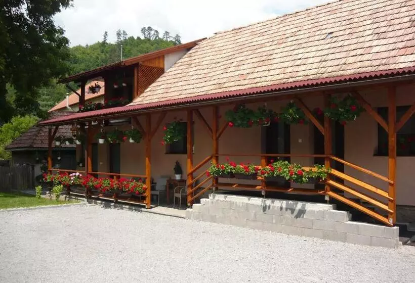 ペンション Casa De Oaspeti Liviu