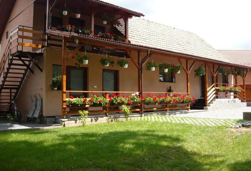 پانسیون Casa De Oaspeti Liviu