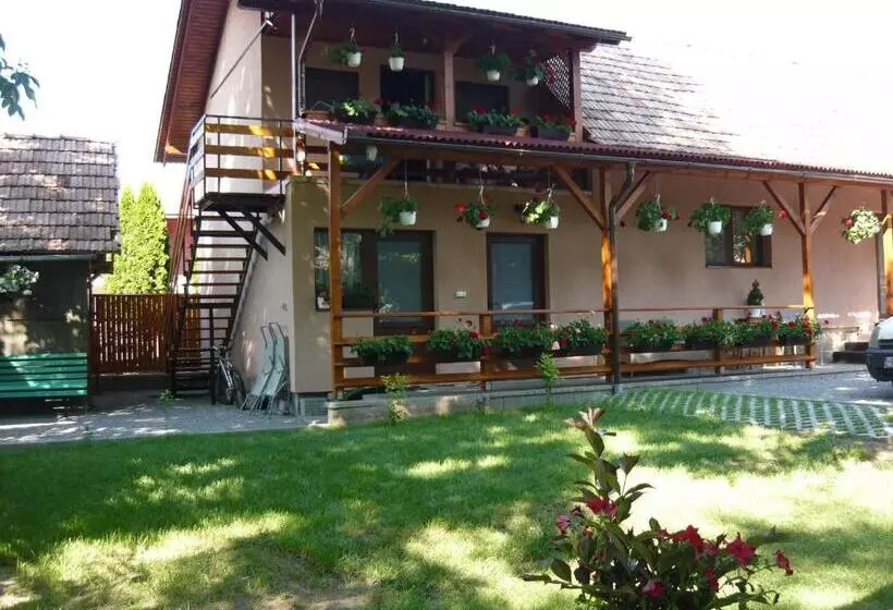 ペンション Casa De Oaspeti Liviu