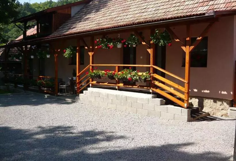 ペンション Casa De Oaspeti Liviu