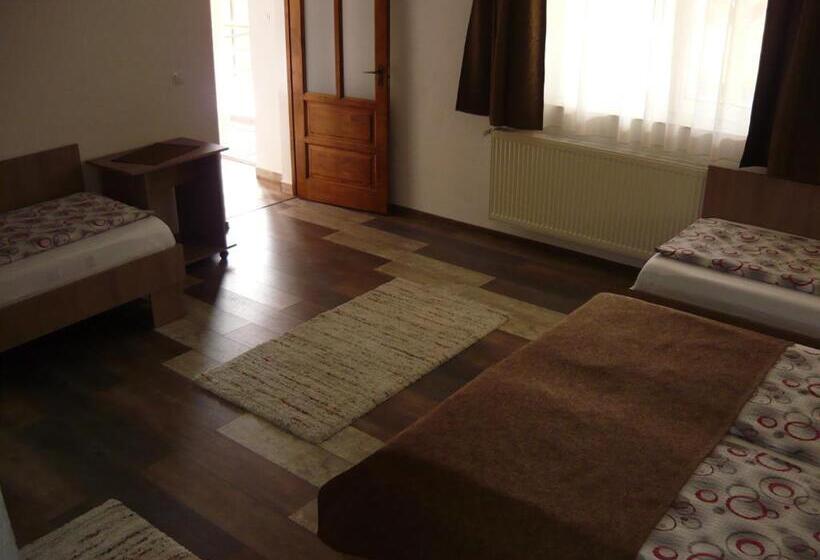 پانسیون Casa De Oaspeti Liviu