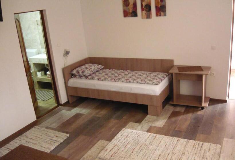 پانسیون Casa De Oaspeti Liviu