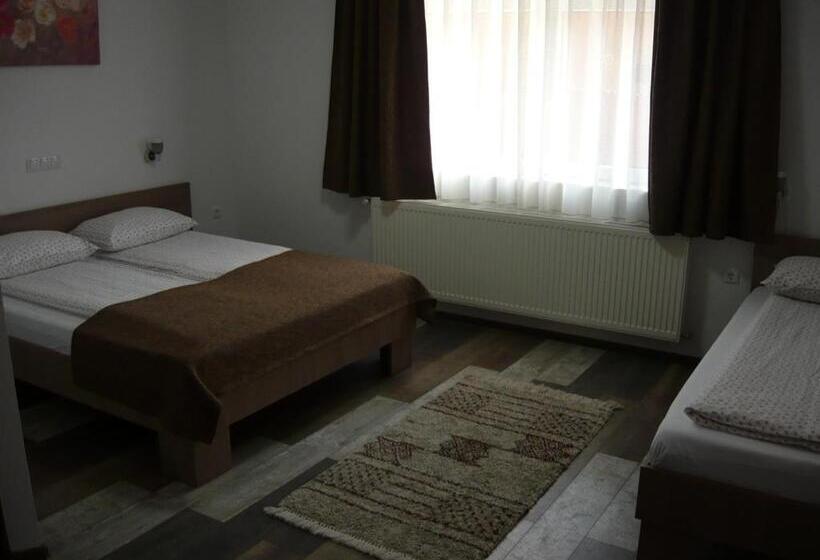 پانسیون Casa De Oaspeti Liviu