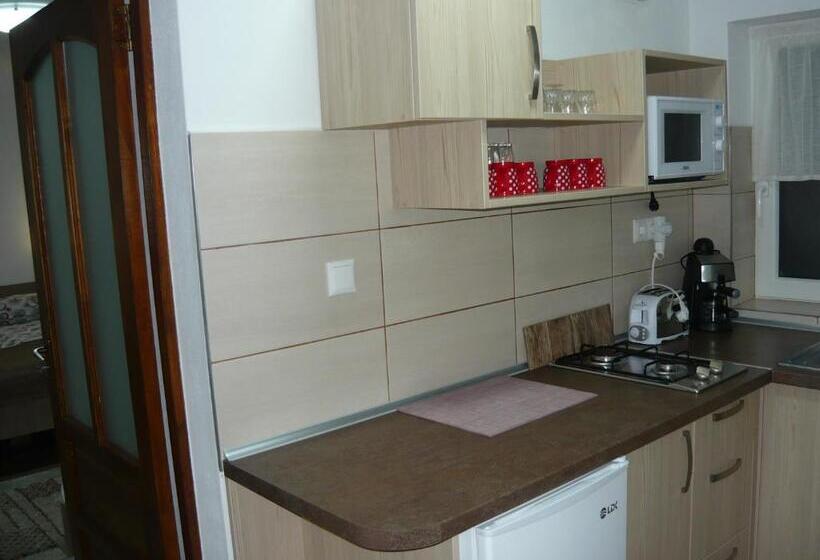 پانسیون Casa De Oaspeti Liviu