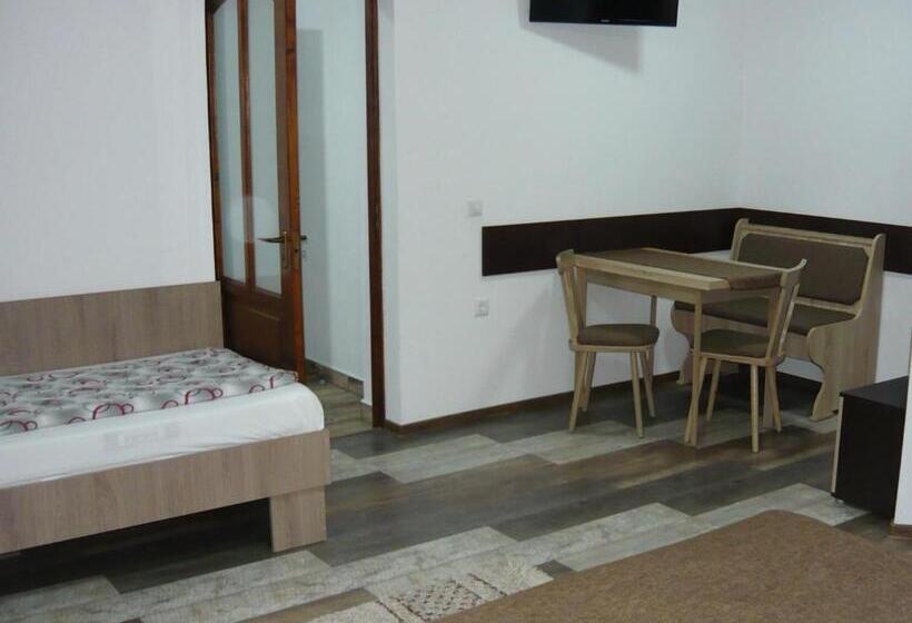 پانسیون Casa De Oaspeti Liviu