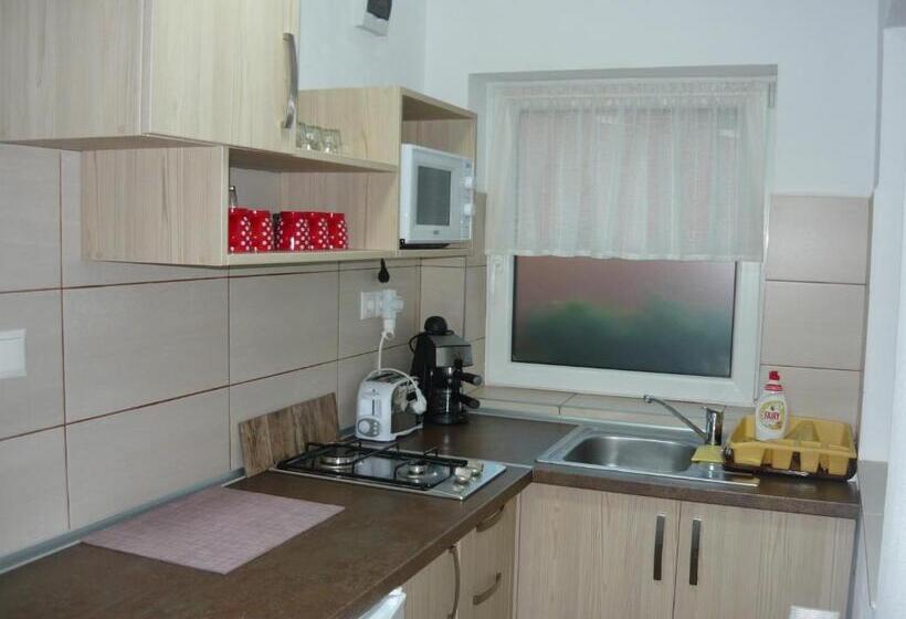 پانسیون Casa De Oaspeti Liviu