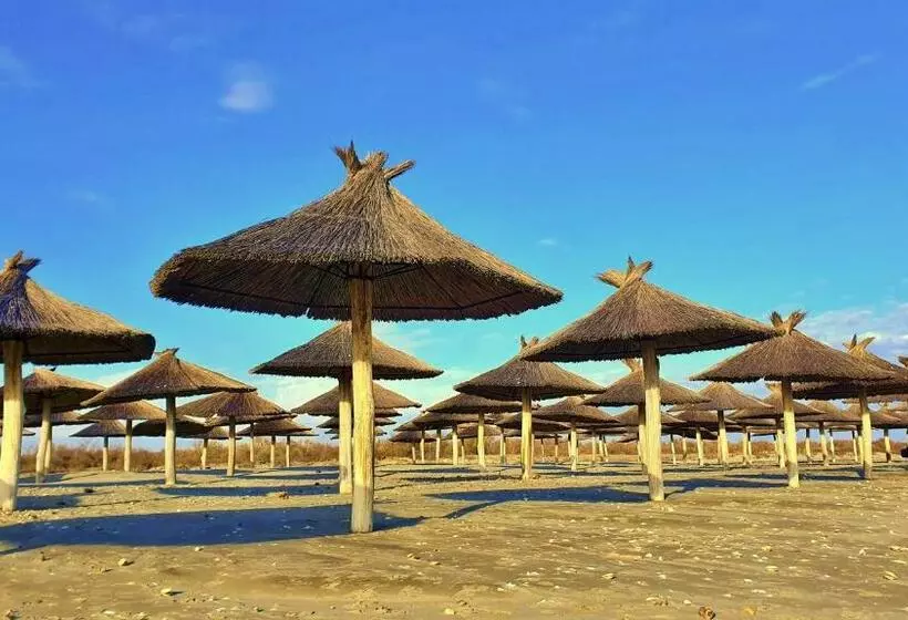 Majatalo Căsuța Lui Ion