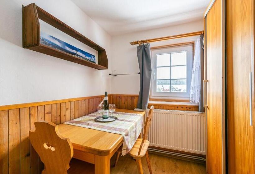 ペンション Penzion černý Vlk