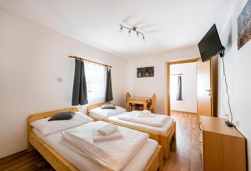 ペンション Penzion černý Vlk