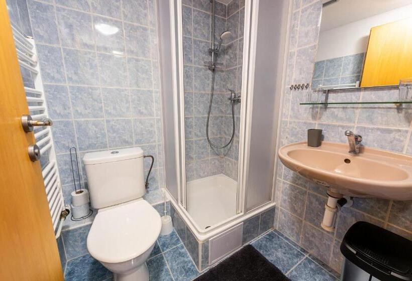 ペンション Penzion černý Vlk