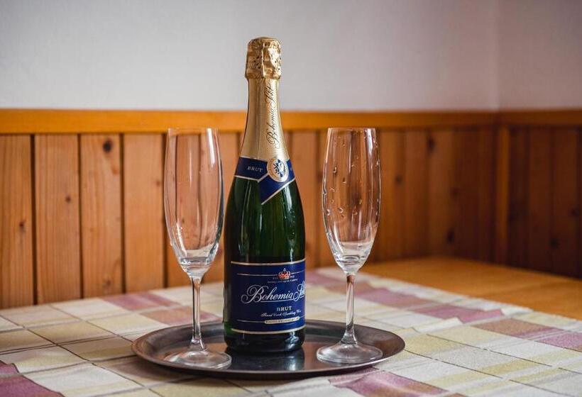 ペンション Penzion černý Vlk