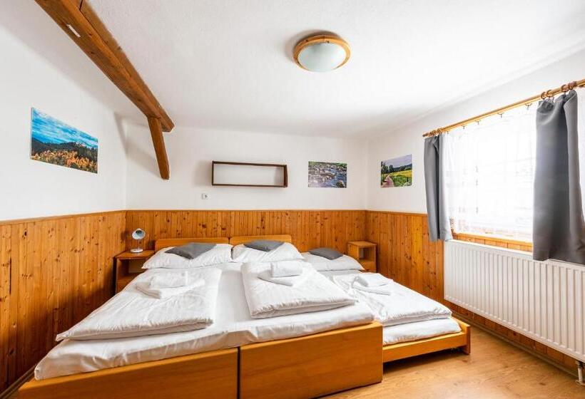 ペンション Penzion černý Vlk