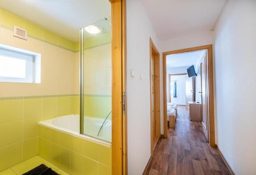 ペンション Penzion černý Vlk