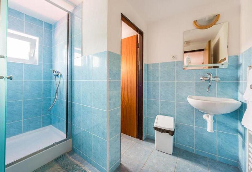 ペンション Penzion černý Vlk